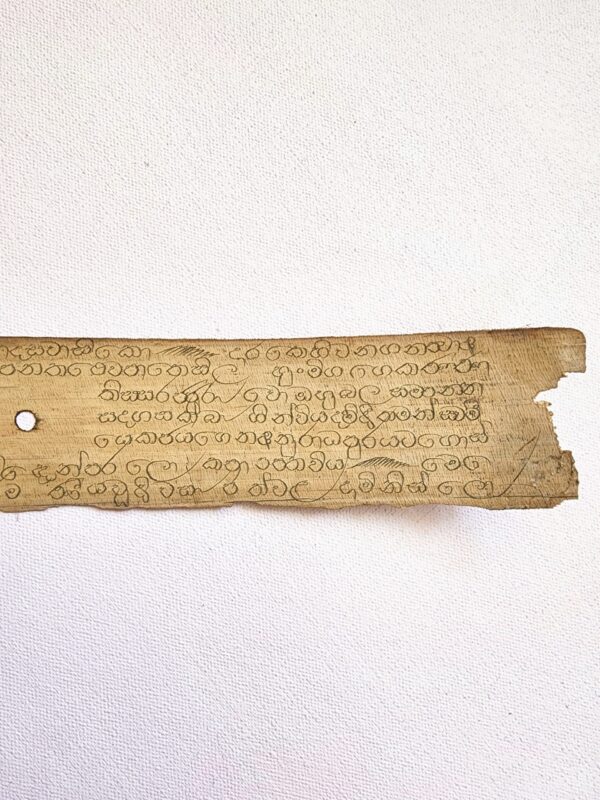 Ancient Buddhist Palm Leaf Manuscript - Image 5