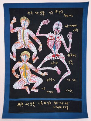 Tibetan Hand-Painted Medical Anatomy Chart with Chakras & Energy Channels | Men-thang Style Canvas Painting | Tibetan Medicine Art