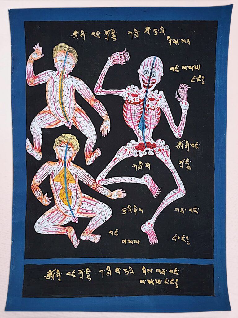 Tibetan Hand-Painted Medical Anatomy Chart with Chakras & Energy Channels | Men-thang Style Canvas Painting | Tibetan Medicine Art